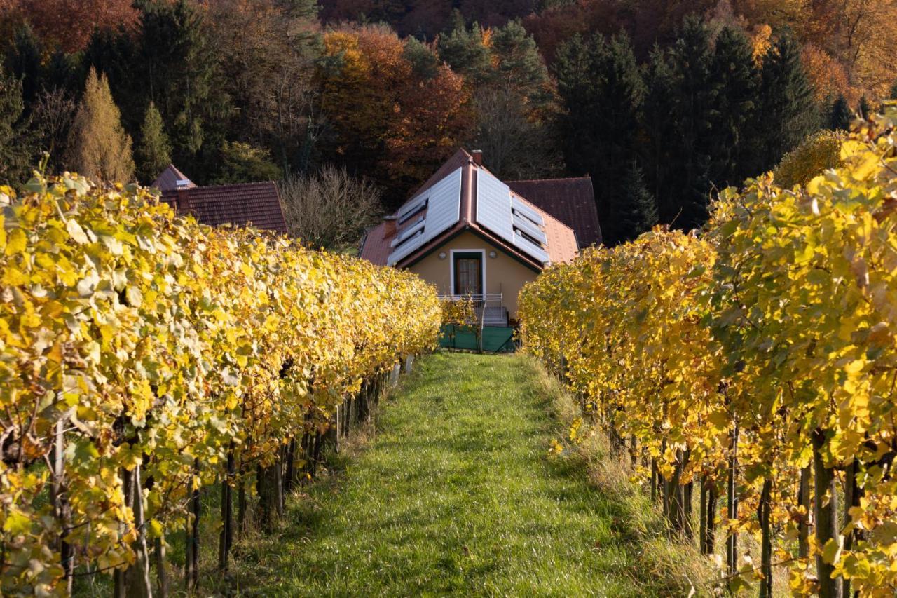 Weinberghaus Am Burgstallkogel Leibnitz Exterior photo